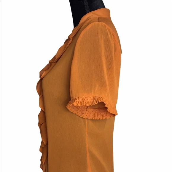 Burnt Orange Ruffled Blouse - Picture 4 of 6